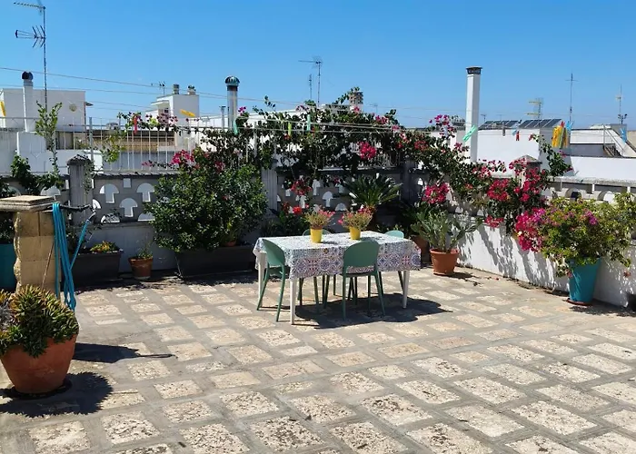 Casa Low Cost